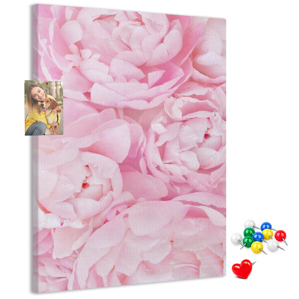 Cork notice board Delicate pink peonies in full bloom