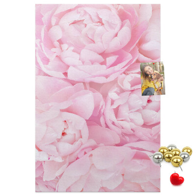 Cork notice board Delicate pink peonies in full bloom