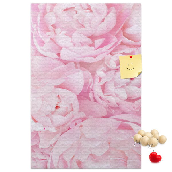 Cork notice board Delicate pink peonies in full bloom