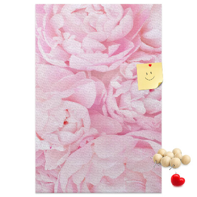 Cork notice board Delicate pink peonies in full bloom