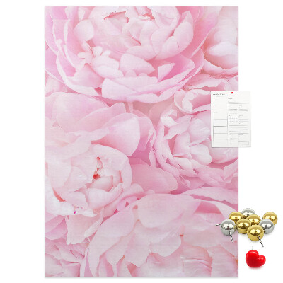 Cork notice board Delicate pink peonies in full bloom