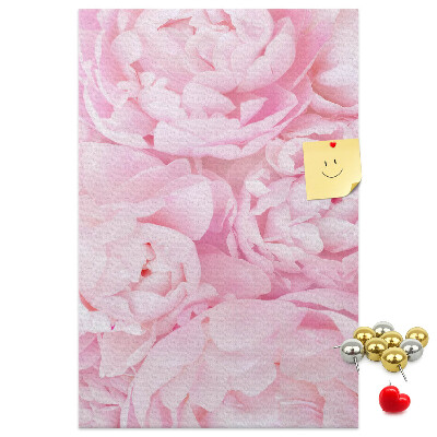 Cork notice board Delicate pink peonies in full bloom