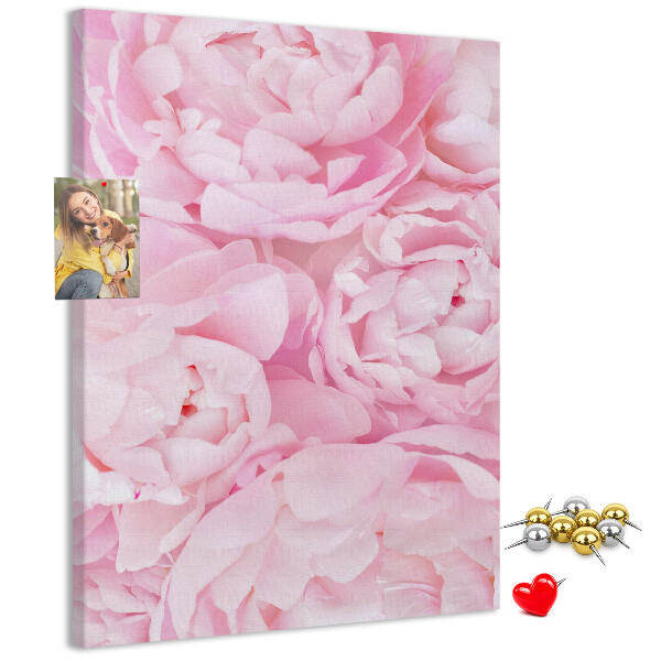 Cork notice board Delicate pink peonies in full bloom