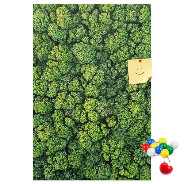 Cork notice board Green forest from a bird's eye view