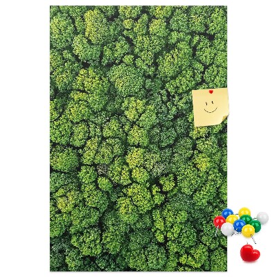 Cork notice board Green forest from a bird's eye view