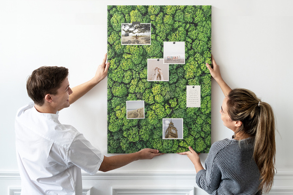 Cork notice board Green forest from a bird's eye view