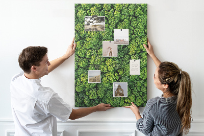 Cork notice board Green forest from a bird's eye view