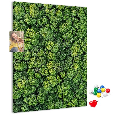 Cork notice board Green forest from a bird's eye view