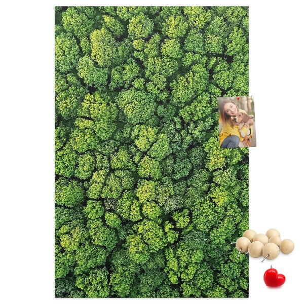 Cork notice board Green forest from a bird's eye view