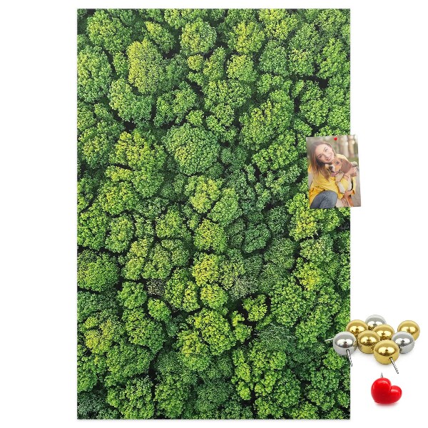 Cork notice board Green forest from a bird's eye view