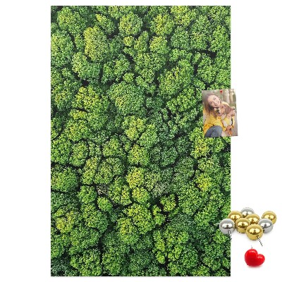 Cork notice board Green forest from a bird's eye view