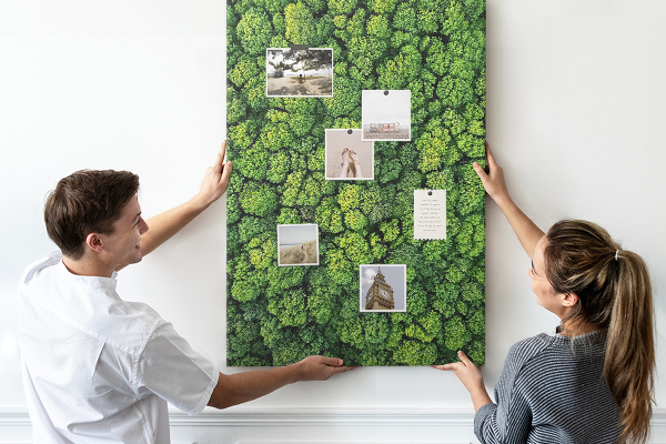 Cork notice board Green forest from a bird's eye view