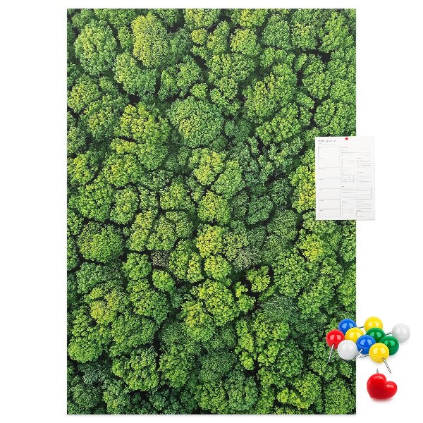 Cork notice board Green forest from a bird's eye view