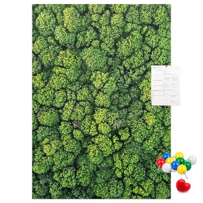 Cork notice board Green forest from a bird's eye view