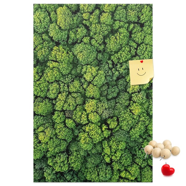 Cork notice board Green forest from a bird's eye view