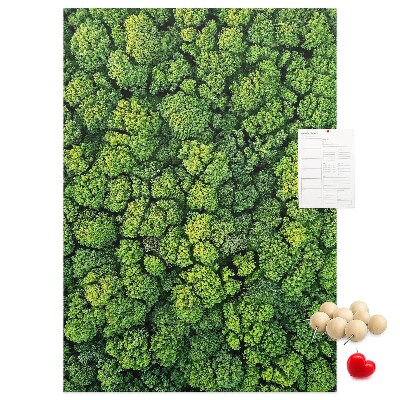 Cork notice board Green forest from a bird's eye view