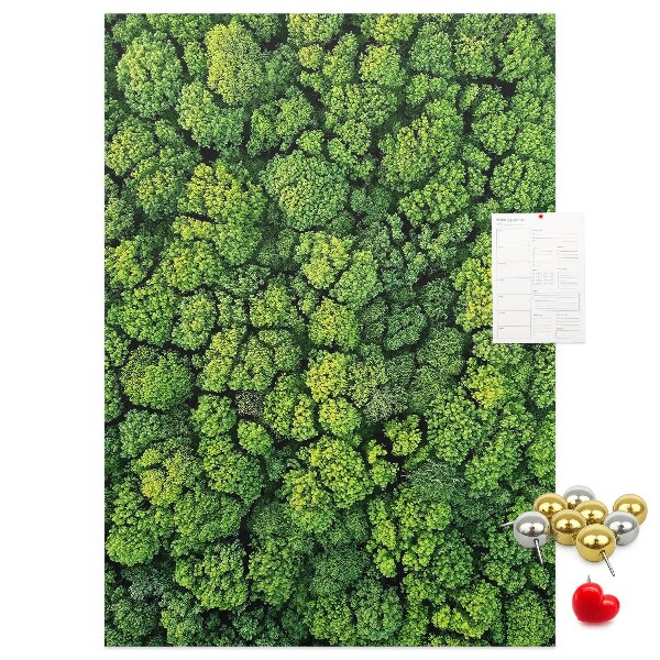Cork notice board Green forest from a bird's eye view