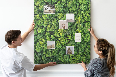 Cork notice board Green forest from a bird's eye view