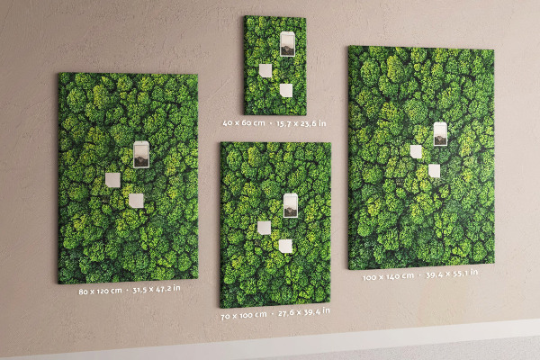 Cork notice board Green forest from a bird's eye view