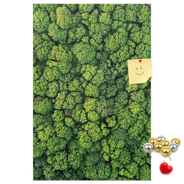 Cork notice board Green forest from a bird's eye view