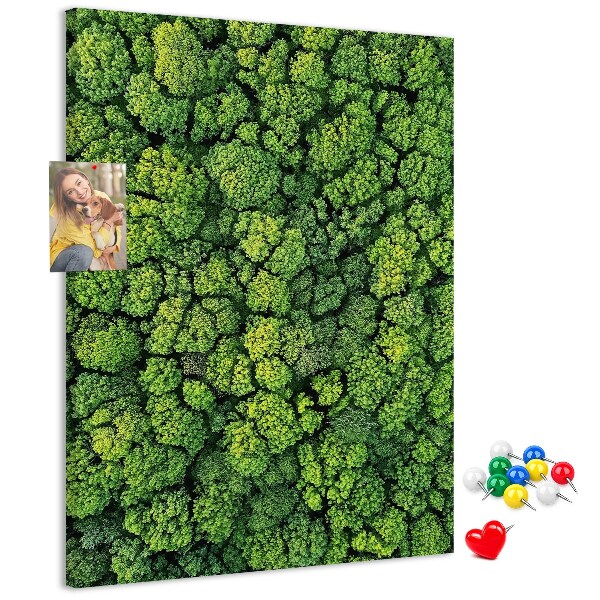 Cork notice board Green forest from a bird's eye view