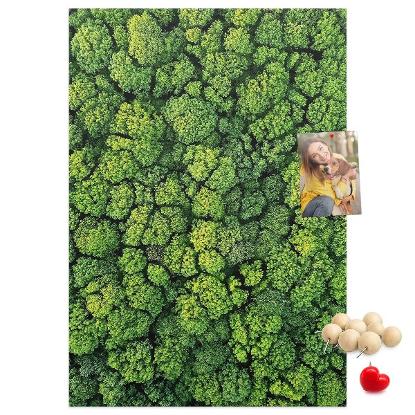 Cork notice board Green forest from a bird's eye view