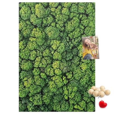 Cork notice board Green forest from a bird's eye view