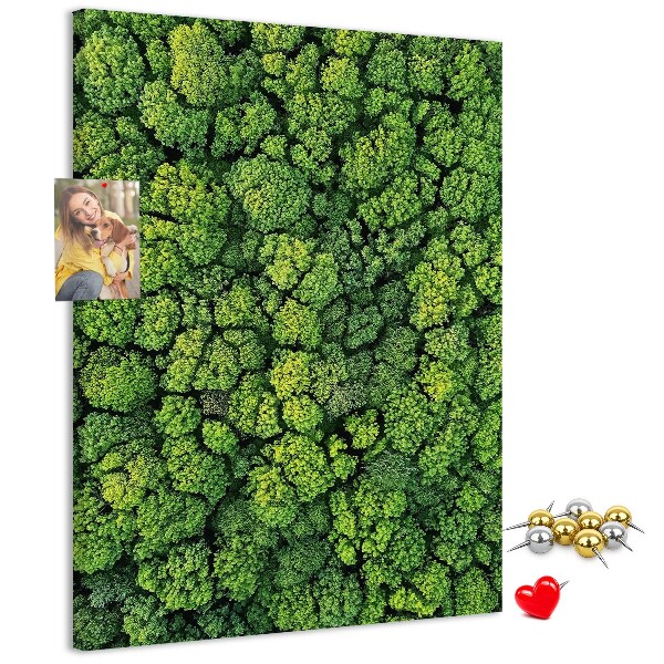 Cork notice board Green forest from a bird's eye view