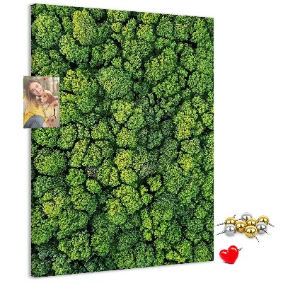 Cork notice board Green forest from a bird's eye view