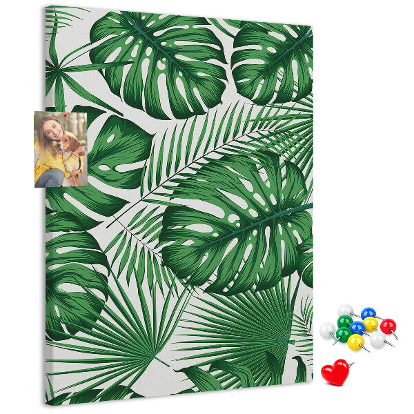 Wall cork memo board Monstera leaves on a light background