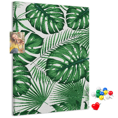 Wall cork memo board Monstera leaves on a light background