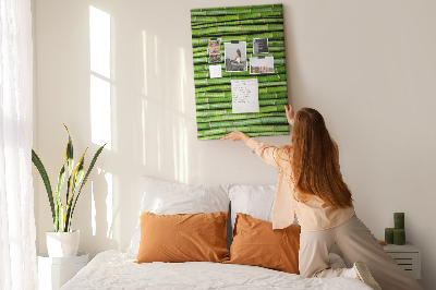 Wall cork memo board Green bamboo stalks in a harmonious arrangement