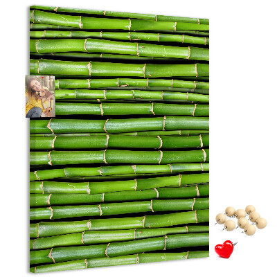 Wall cork memo board Green bamboo stalks in a harmonious arrangement