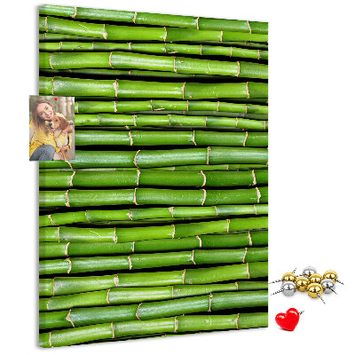 Wall cork memo board Green bamboo stalks in a harmonious arrangement