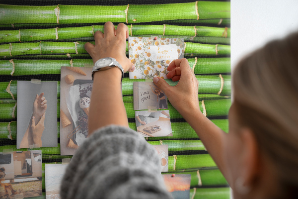 Wall cork memo board Green bamboo stalks in a harmonious arrangement