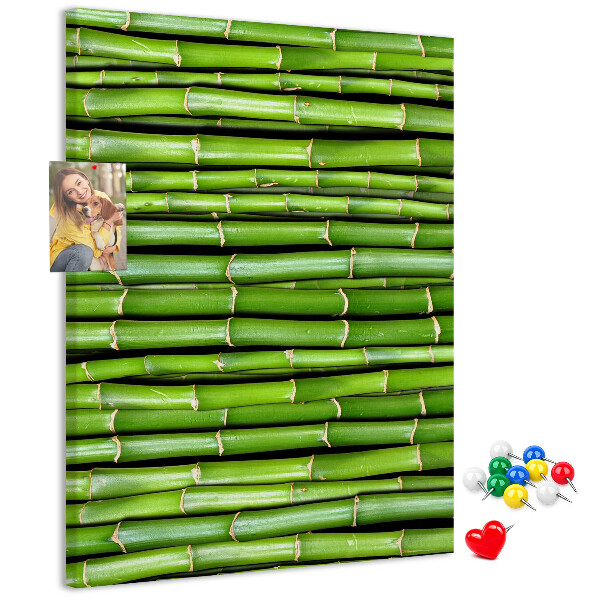 Wall cork memo board Green bamboo stalks in a harmonious arrangement