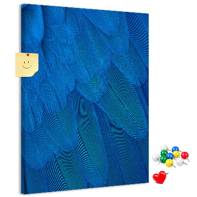 Cork notice board Blue feathers in the soft light