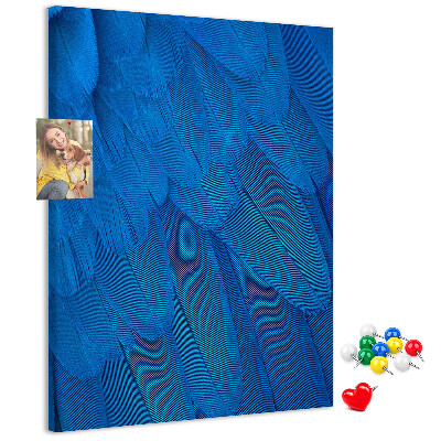 Cork notice board Blue feathers in the soft light
