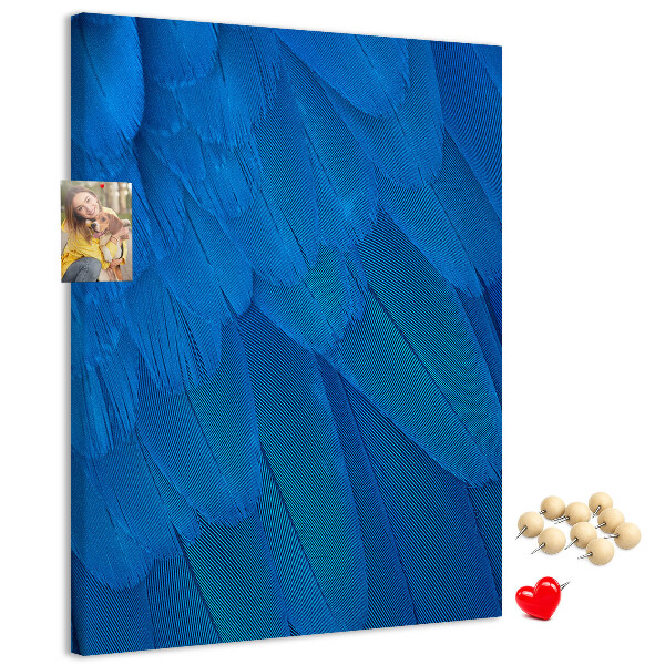 Cork notice board Blue feathers in the soft light