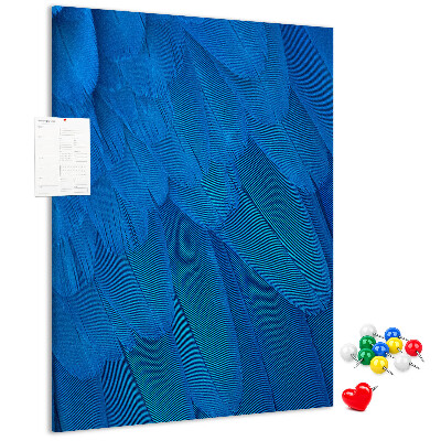 Cork notice board Blue feathers in the soft light