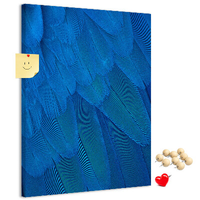 Cork notice board Blue feathers in the soft light