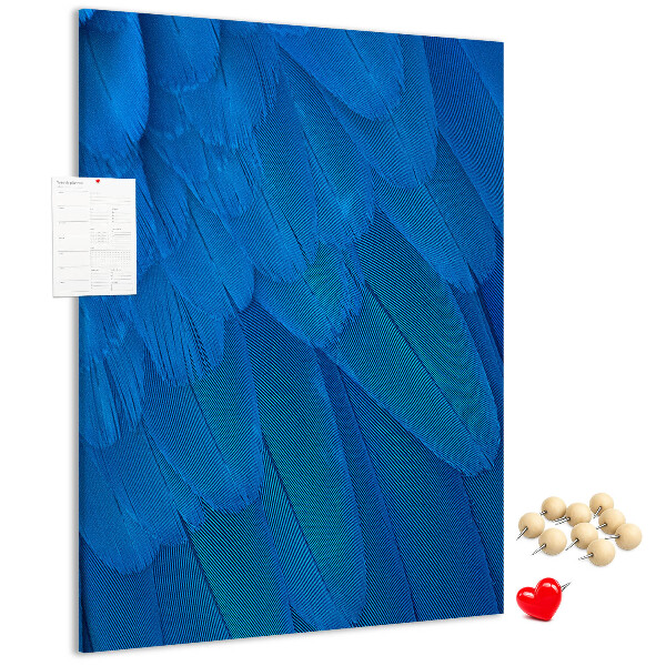 Cork notice board Blue feathers in the soft light