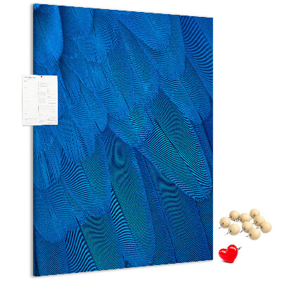 Cork notice board Blue feathers in the soft light