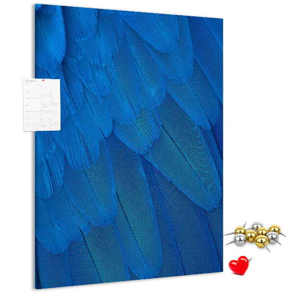Cork notice board Blue feathers in the soft light