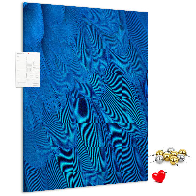 Cork notice board Blue feathers in the soft light