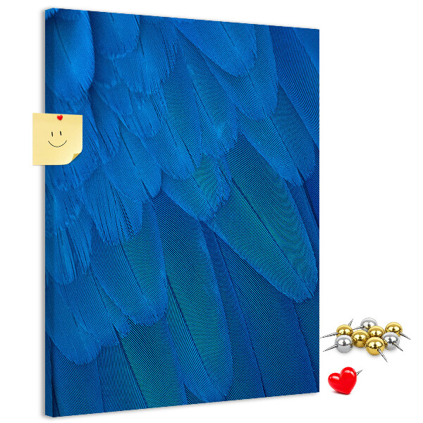 Cork notice board Blue feathers in the soft light