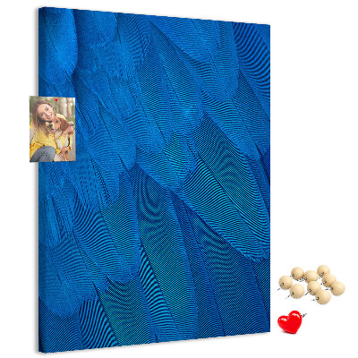 Cork notice board Blue feathers in the soft light