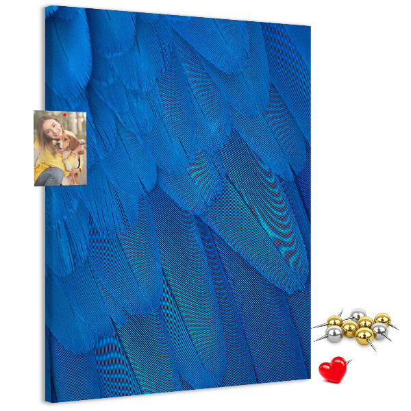Cork notice board Blue feathers in the soft light