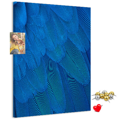 Cork notice board Blue feathers in the soft light