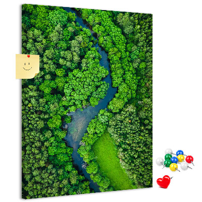 Cork notice board A green landscape with a winding river